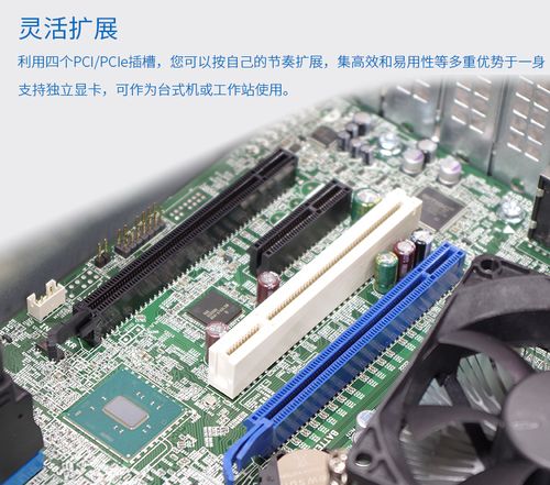 戴尔 Dell T30 塔式服务器 小型企业文件存储、数据库与 ERP 应用的理想之选